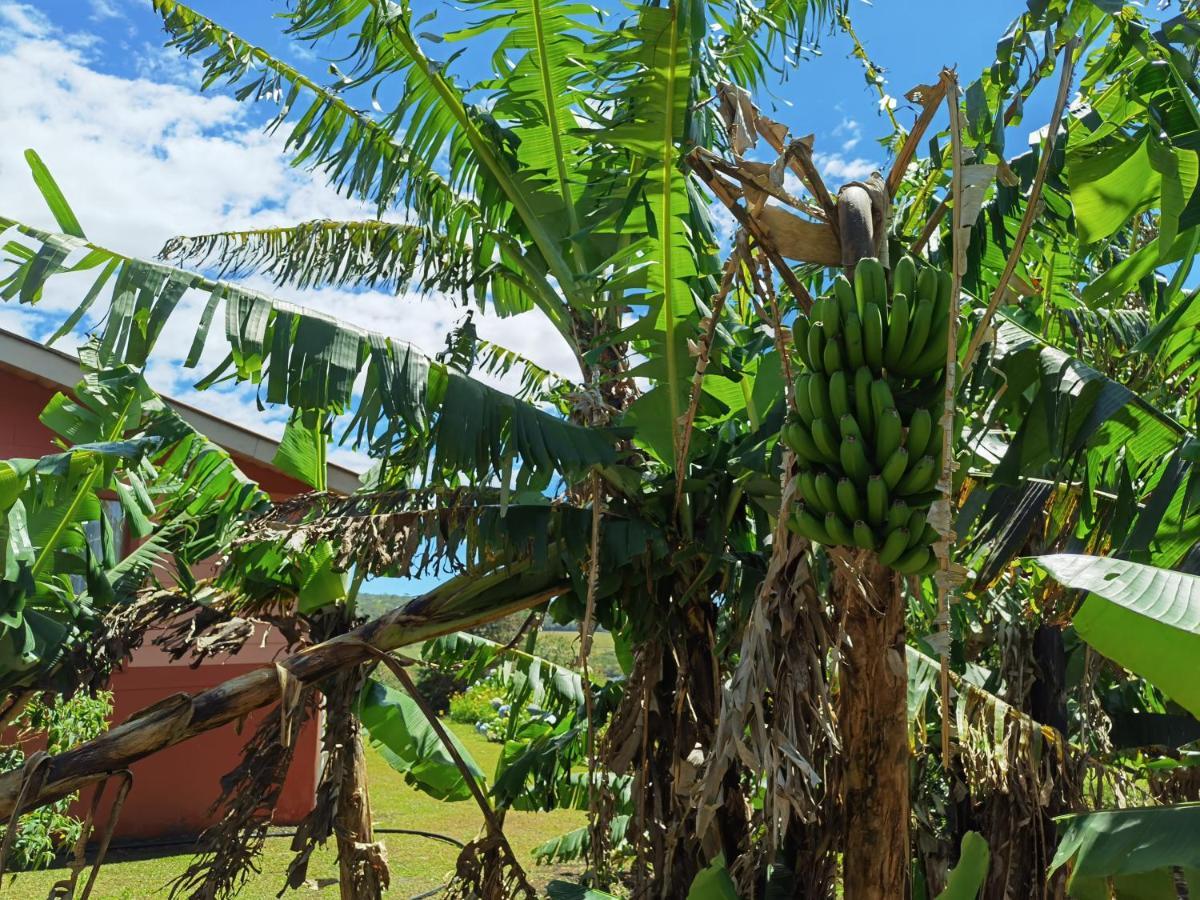 Campo Azul - Monteverde Екстер'єр фото